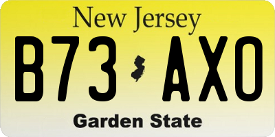 NJ license plate B73AXO