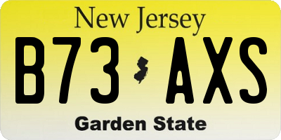 NJ license plate B73AXS