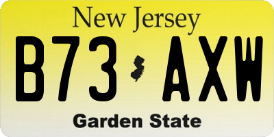 NJ license plate B73AXW