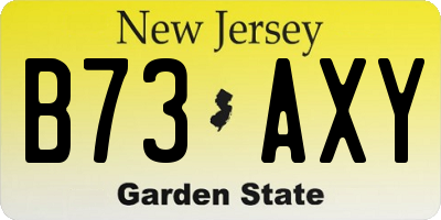 NJ license plate B73AXY