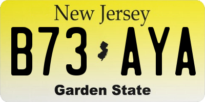 NJ license plate B73AYA