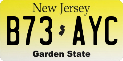 NJ license plate B73AYC