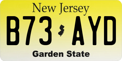 NJ license plate B73AYD
