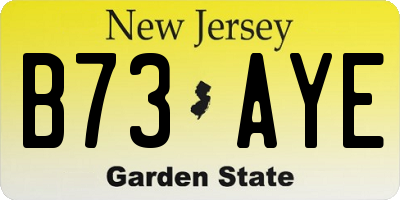 NJ license plate B73AYE