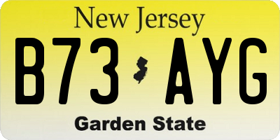 NJ license plate B73AYG