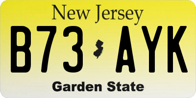 NJ license plate B73AYK
