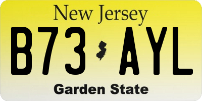 NJ license plate B73AYL