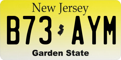 NJ license plate B73AYM