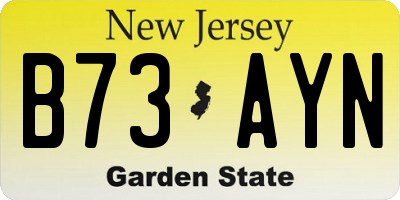 NJ license plate B73AYN