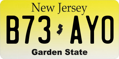 NJ license plate B73AYO