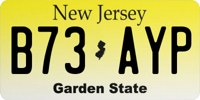 NJ license plate B73AYP