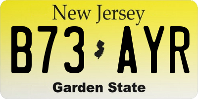 NJ license plate B73AYR