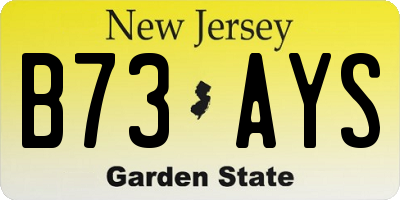 NJ license plate B73AYS