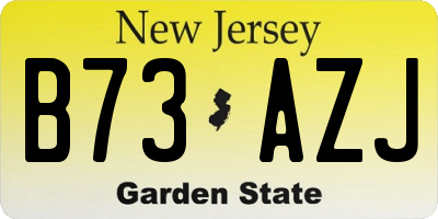 NJ license plate B73AZJ