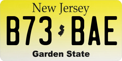NJ license plate B73BAE