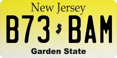 NJ license plate B73BAM