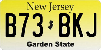 NJ license plate B73BKJ