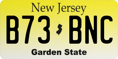 NJ license plate B73BNC