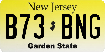 NJ license plate B73BNG