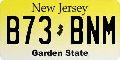 NJ license plate B73BNM