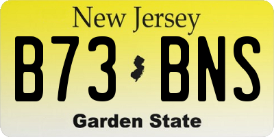 NJ license plate B73BNS