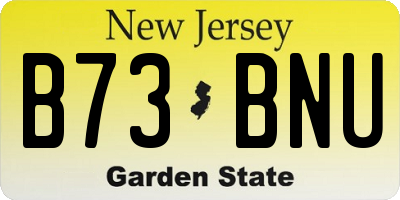 NJ license plate B73BNU