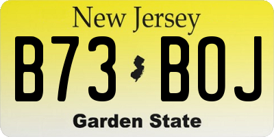 NJ license plate B73BOJ