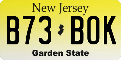 NJ license plate B73BOK