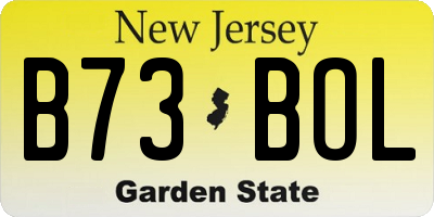 NJ license plate B73BOL