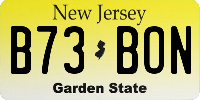 NJ license plate B73BON