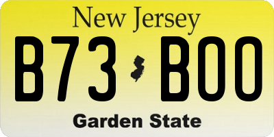 NJ license plate B73BOO