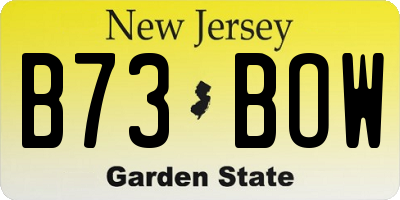NJ license plate B73BOW