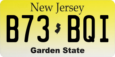 NJ license plate B73BQI
