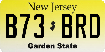 NJ license plate B73BRD