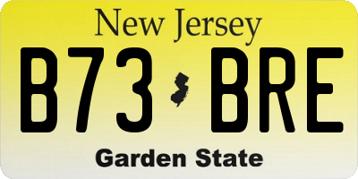 NJ license plate B73BRE