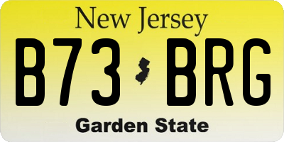 NJ license plate B73BRG