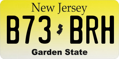 NJ license plate B73BRH
