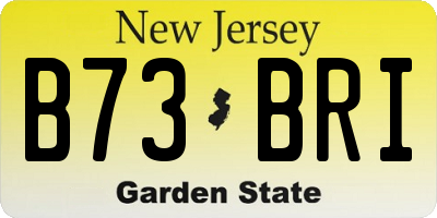 NJ license plate B73BRI