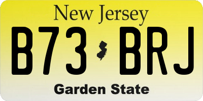 NJ license plate B73BRJ