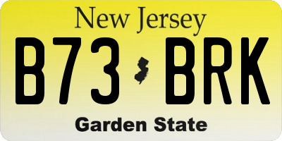 NJ license plate B73BRK