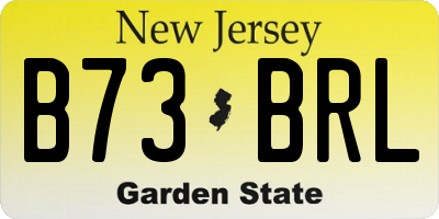 NJ license plate B73BRL