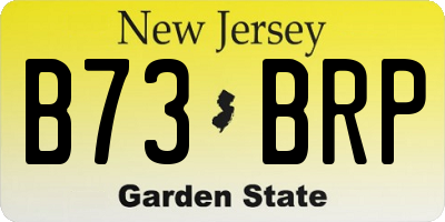 NJ license plate B73BRP