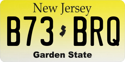 NJ license plate B73BRQ