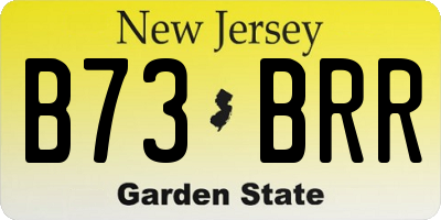 NJ license plate B73BRR