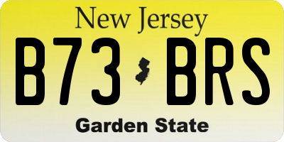 NJ license plate B73BRS
