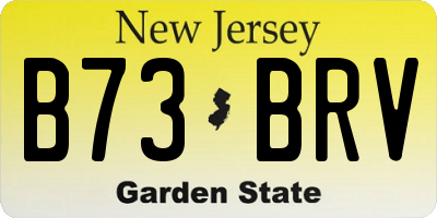 NJ license plate B73BRV