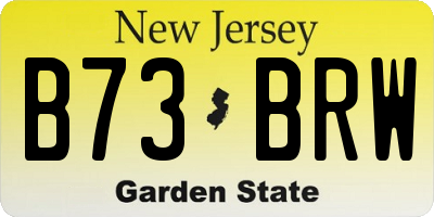 NJ license plate B73BRW