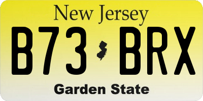NJ license plate B73BRX