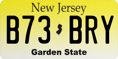 NJ license plate B73BRY