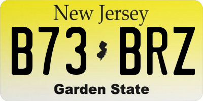 NJ license plate B73BRZ